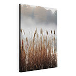 Canvas Schilderijen Hoog gras met mist op de achtergrond