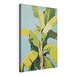 Canvas Schilderijen Bananenboom met bladeren