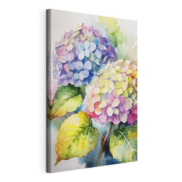Aquarel hortensia's in levendige tinten Canvas Schilderijen Aquarel hortensia's in levendige tinten