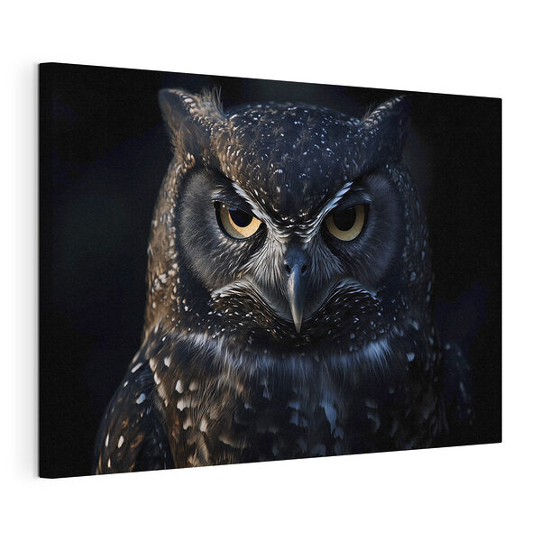 Mysterieuze ogen doorboren het donker Canvas Schilderijen Mysterieuze ogen doorboren het donker