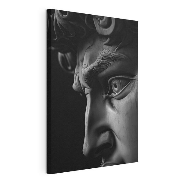 Beeld van een man’s gezicht Canvas Schilderijen Beeld van een man’s gezicht