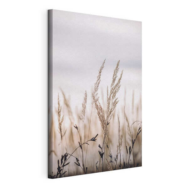 Fluisterend riet in sereen licht Canvas Schilderijen Fluisterend riet in sereen licht