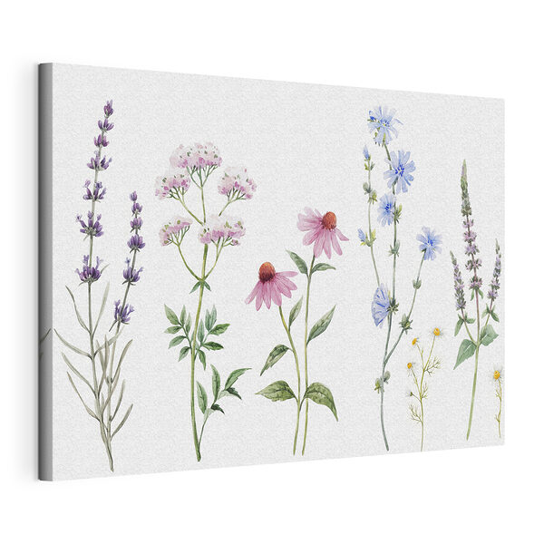Groep bloemen op witte achtergrond Canvas Schilderijen Groep bloemen op witte achtergrond