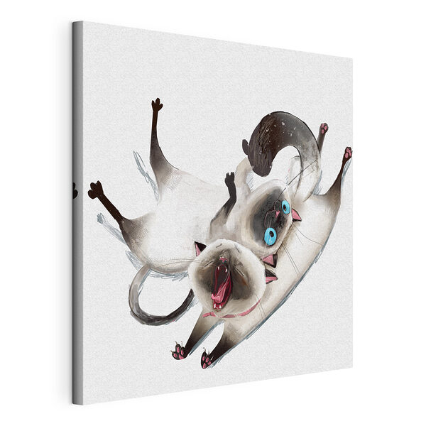 Canvas Schilderijen Kat liggend op zijn rug