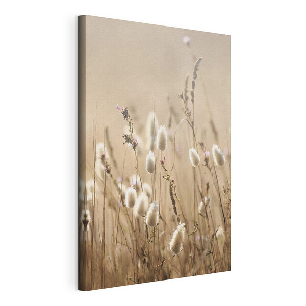 Zacht zonlicht op wilde grassen Canvas Schilderijen Zacht zonlicht op wilde grassen