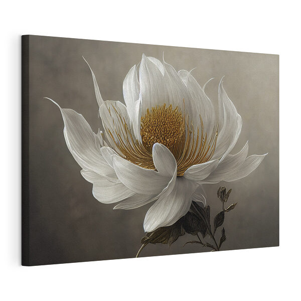 Elegante witte bloem in bloei Canvas Schilderijen Elegante witte bloem in bloei