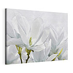 Canvas Schilderijen Witte magnolia bloeit in de lente