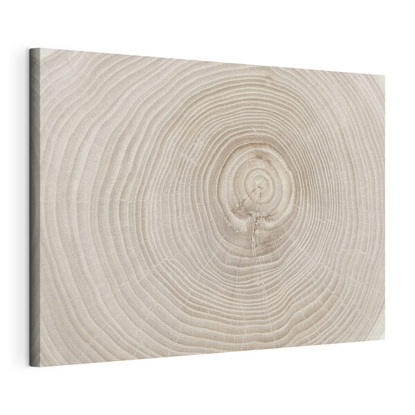 Boomringen onthullen de tijdlijn van de natuur Canvas Schilderijen Boomringen onthullen de tijdlijn van de natuur