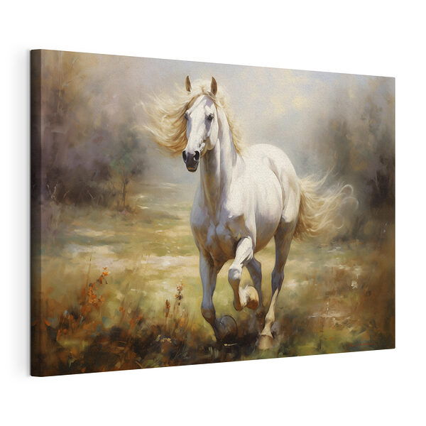 Wit paard in een veld Canvas Schilderijen Wit paard in een veld
