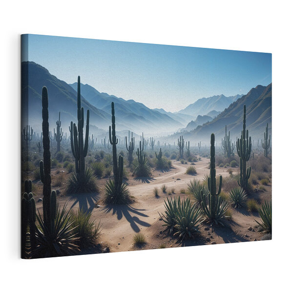 Cactus in een woestijn Canvas Schilderijen Cactus in een woestijn