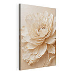 Canvas Schilderijen Crème bloemblaadjes in delicate bloei