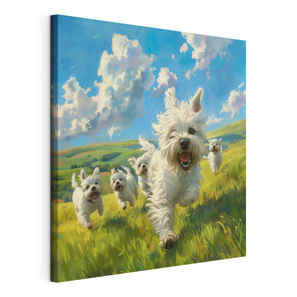 Canvas Schilderijen Groep witte honden in een veld