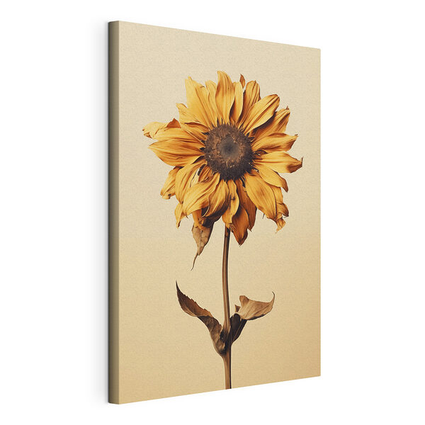 Zonnebloem met bruin hart Canvas Schilderijen Zonnebloem met bruin hart
