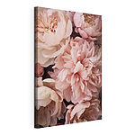 Canvas Schilderijen Groep roze bloemen