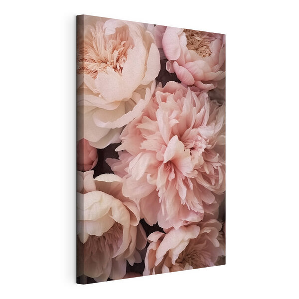 Groep roze bloemen Canvas Schilderijen Groep roze bloemen