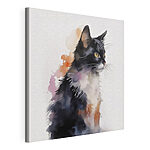 Canvas Schilderijen Kat met een wit en zwart gezicht
