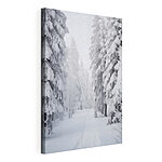 Canvas Schilderijen Besneeuwd pad met bomen