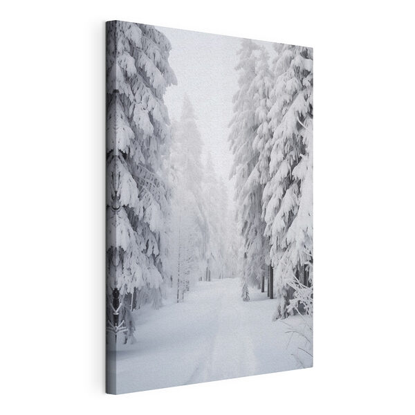 Besneeuwd pad met bomen Canvas Schilderijen Besneeuwd pad met bomen