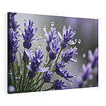 Canvas Schilderijen Delicate bloemen gekust door druppels