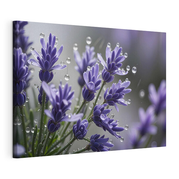 Delicate bloemen gekust door druppels Canvas Schilderijen Delicate bloemen gekust door druppels