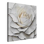 Canvas Schilderijen Delicate lagen van zachte bloemblaadjes