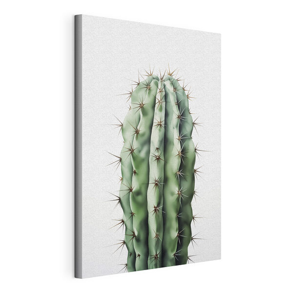 Cactus met doornen Canvas Schilderijen Cactus met doornen