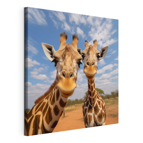 Twee giraffen in een veld Canvas Schilderijen Twee giraffen in een veld