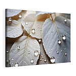 Canvas Schilderijen Delicate dans van regendruppels
