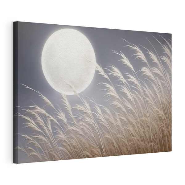 Canvas Schilderijen Maan aan de hemel