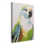 Canvas Schilderijen Kleurrijke vogel met zwarte snavel