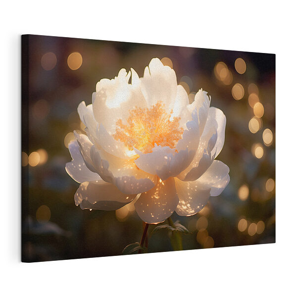 Witte bloem met geel hart Canvas Schilderijen Witte bloem met geel hart