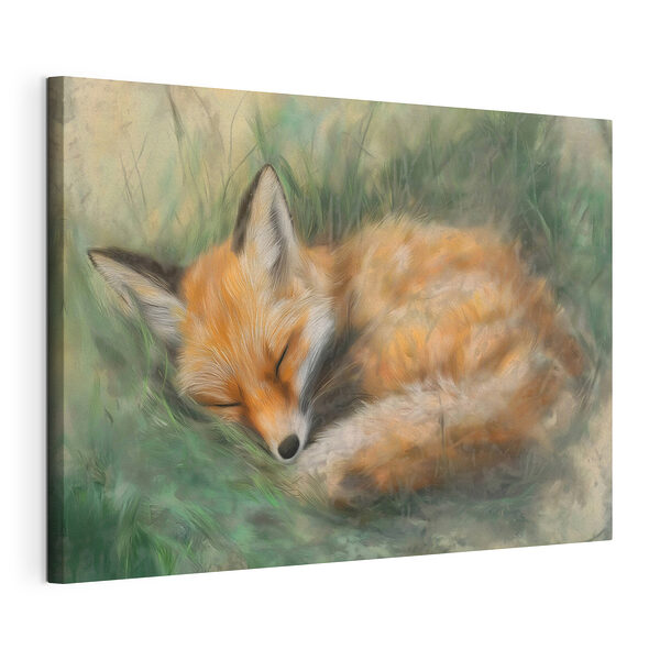 Canvas Schilderijen Vos slaapt in het gras