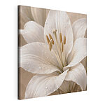 Canvas Schilderijen Tere witte bloem in zacht licht