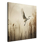 Canvas Schilderijen Vogel die over het water vliegt