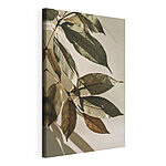 Canvas Schilderijen - Elegante bladeren die zachte schaduwen werpen