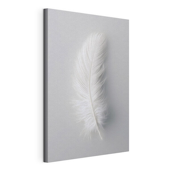 Canvas Schilderijen Witte veer op een witte achtergrond