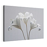 Canvas Schilderijen Groep witte bloemen