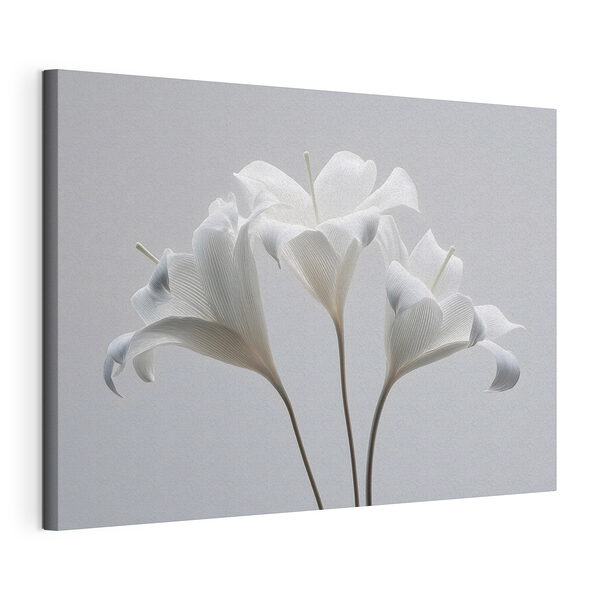 Canvas Schilderijen Groep witte bloemen