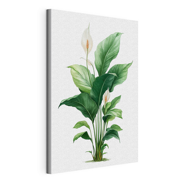 Canvas Schilderijen Plant met witte bloemen en groene bladeren