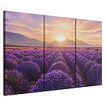 Modulaire canvasprint Lavendelveld met bergen op de achtergrond