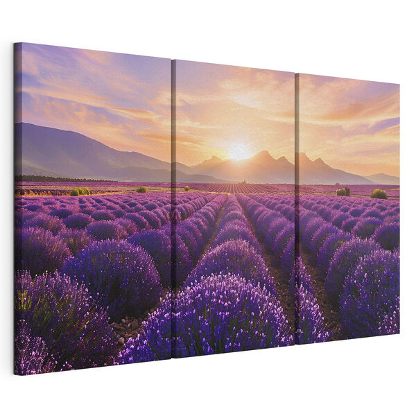 Lavendelveld met bergen op de achtergrond Modulaire canvasprint Lavendelveld met bergen op de achtergrond