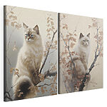 Modulaire canvasprint Kat zit in een boom