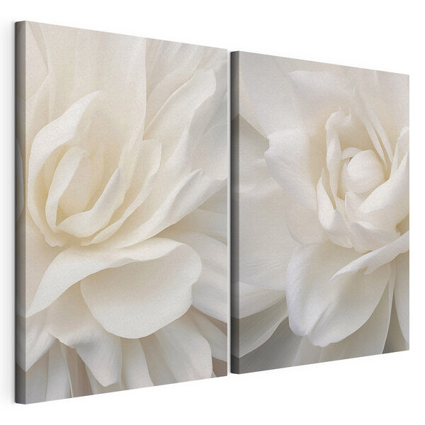 Modulaire canvasprint Fijne bloemen in zachte witte lagen