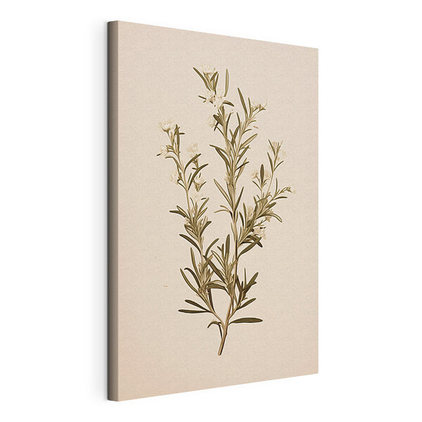 Canvas Schilderijen Plant met witte bloemen