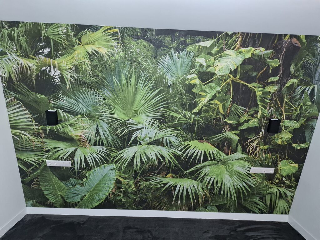 Afbeelding #1 van Sander